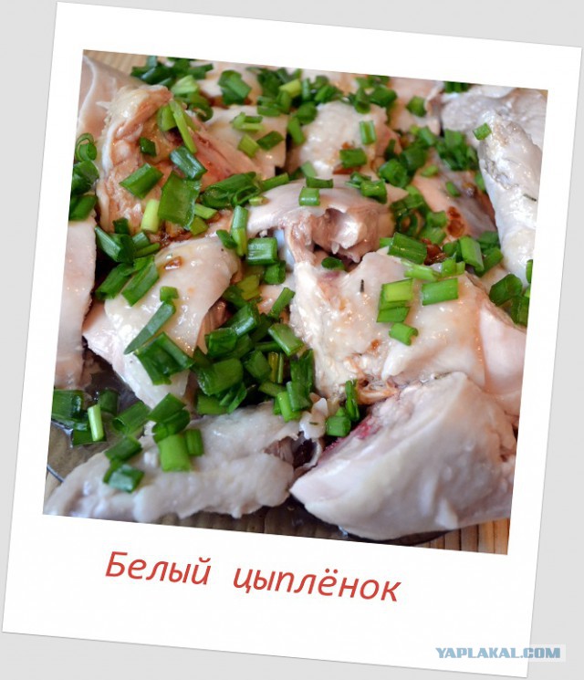 Белый цыпленок