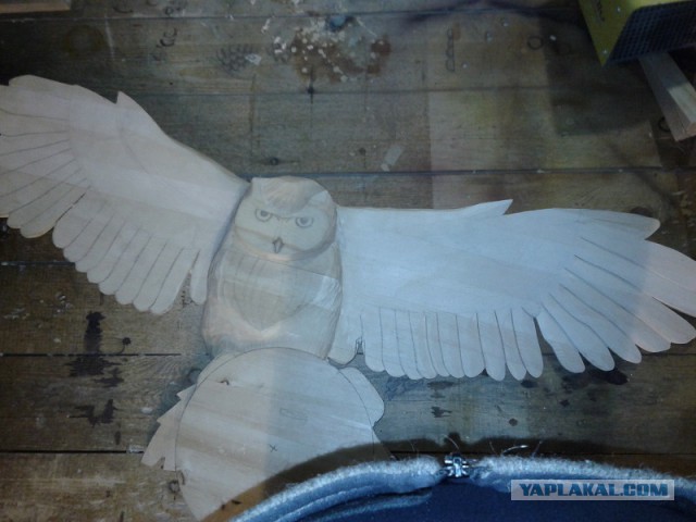 Как нарисовать сову