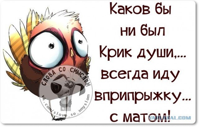 Веселые жизненные наблюдения из Вредного журнала