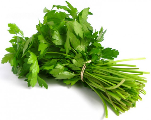 Шишкин лес или военный способ добывания ореха