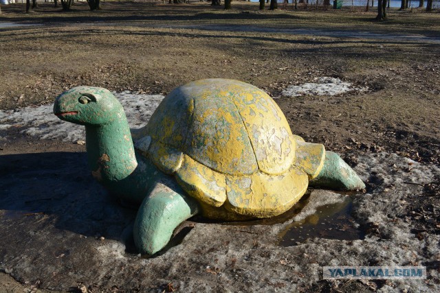 Из Новосиба в Питер, очень коротко