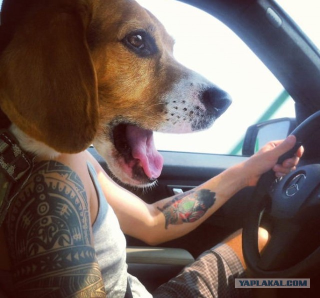 Бывают в жизни совпадения