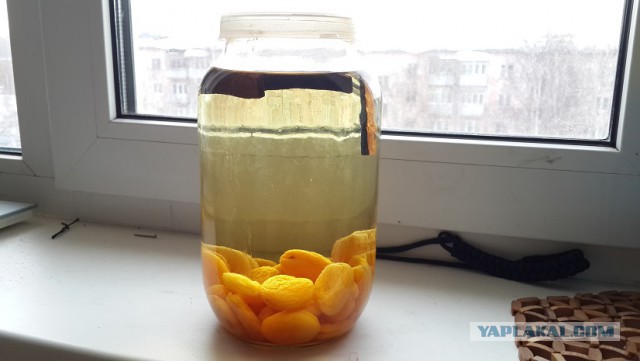 Самогонщики ЯПа,все сюда