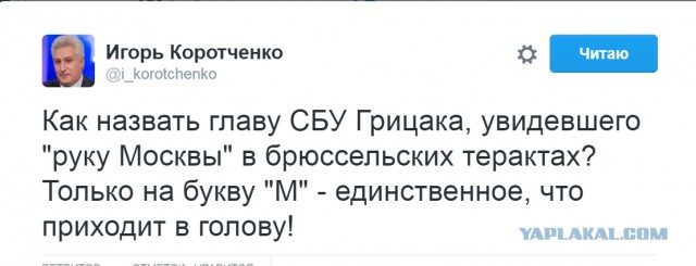 Медведев назвал придурком главу СБУ после заявлений о взрывах в Брюсселе