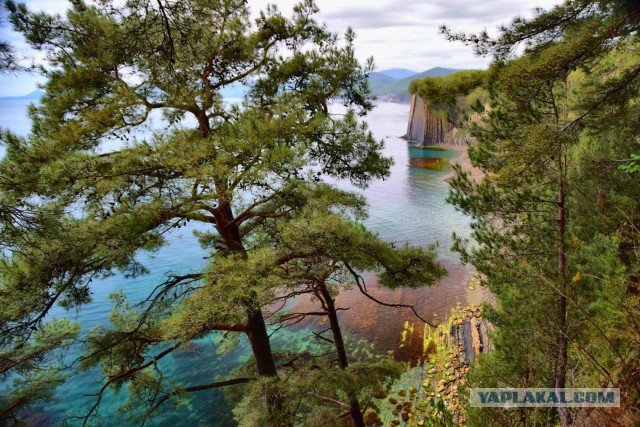 Живу у моря