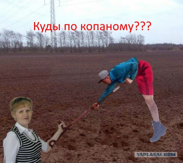 Дачные приколы