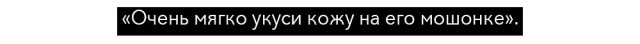 Пожалуйста, не надо: 16 худших секс-советов из Интернета