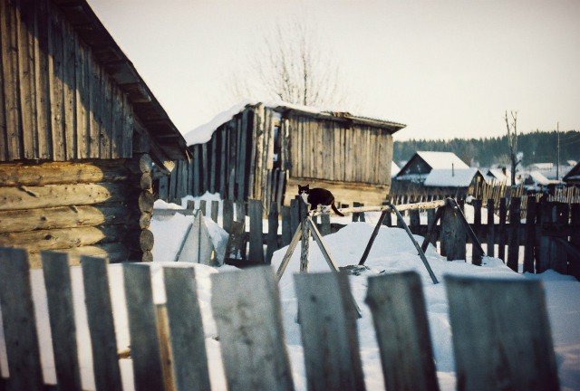 Подборка "тёплых, уютных, домашних" фотографий. Часть 8