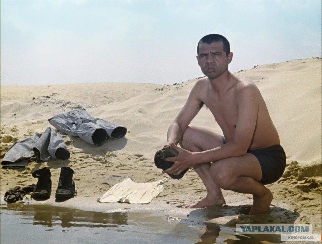 ТП на встречке и "регик-филолог".