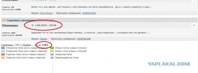 Голые щиколотки - это модно?