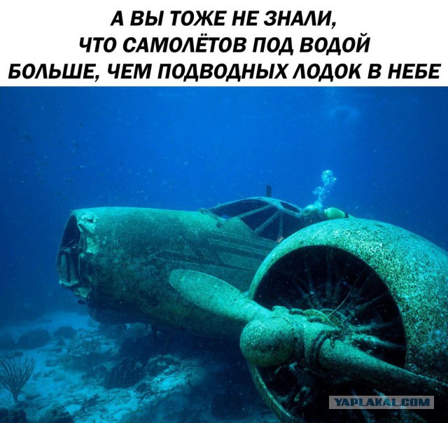 Картинки всякие для поднятия настроения!