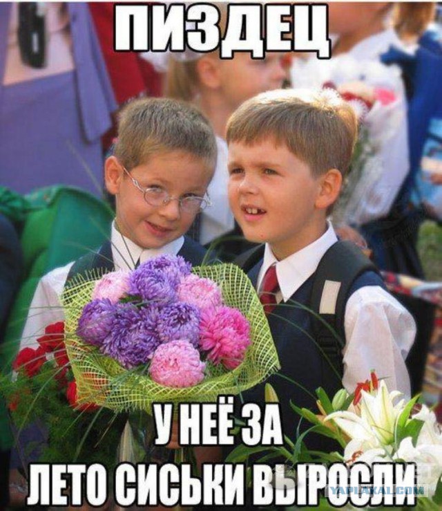 150 картинки для поднятия настроения!