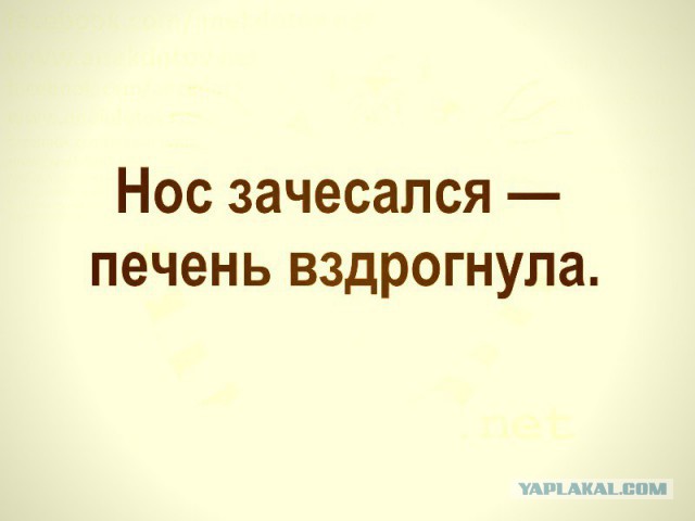 Журнал школьный деградант