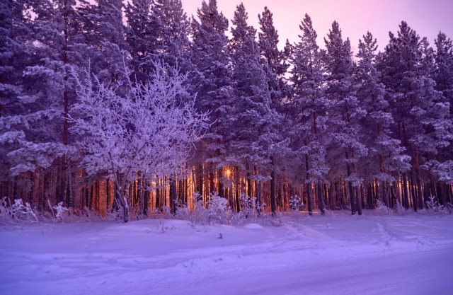 Деревенская Америка - 3