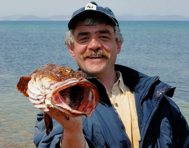 Картинка из детства