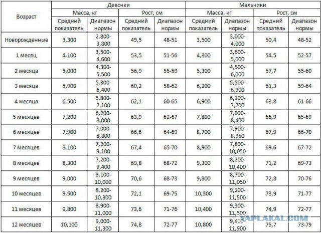 «Маленький член — это приговор»