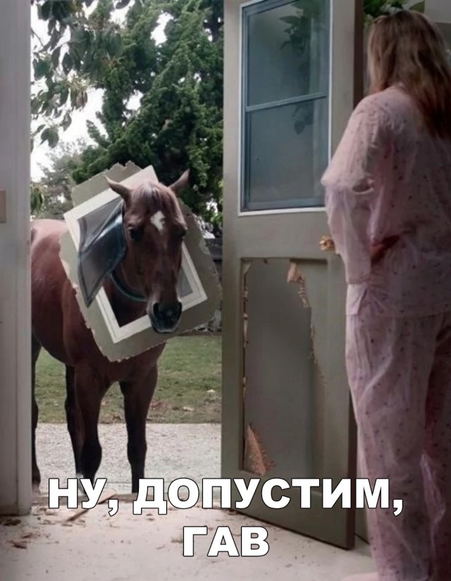 Милые животные. Мимиметр сломался