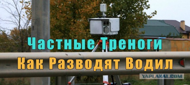 Охранник камеры вызвал ГИБДД