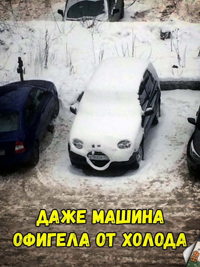 Нестандартный юмор