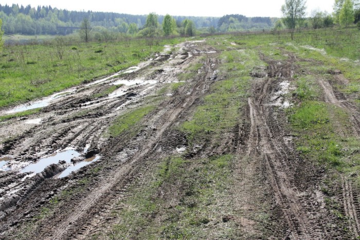 Красота сельских дорог