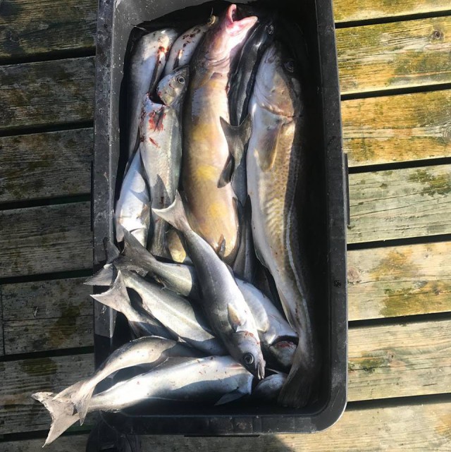 Пока праздники – метнемся на рыбалочку…