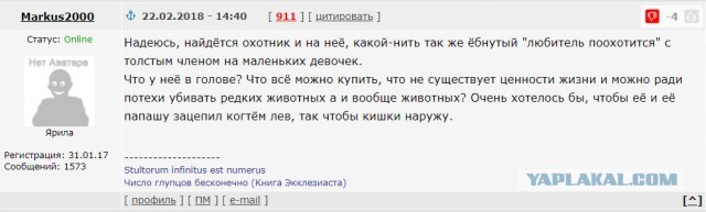Знакомьтесь: Сэмми Ли из Крайстчерча (Новая Зеландия)