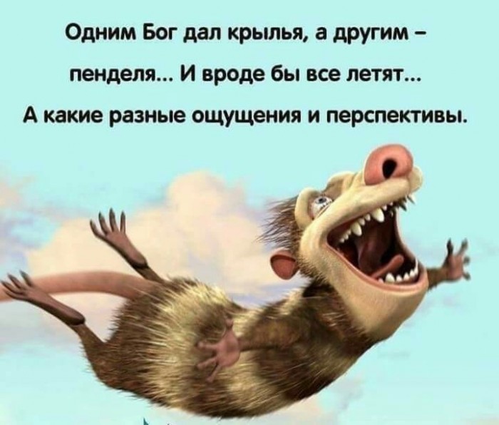 Это вам не инстаграмм (август)