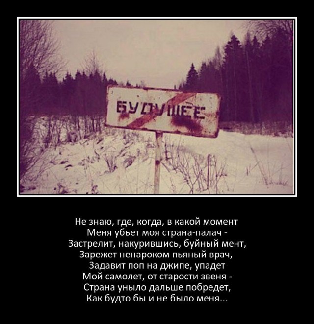 Кошка Мурка едет в дурку