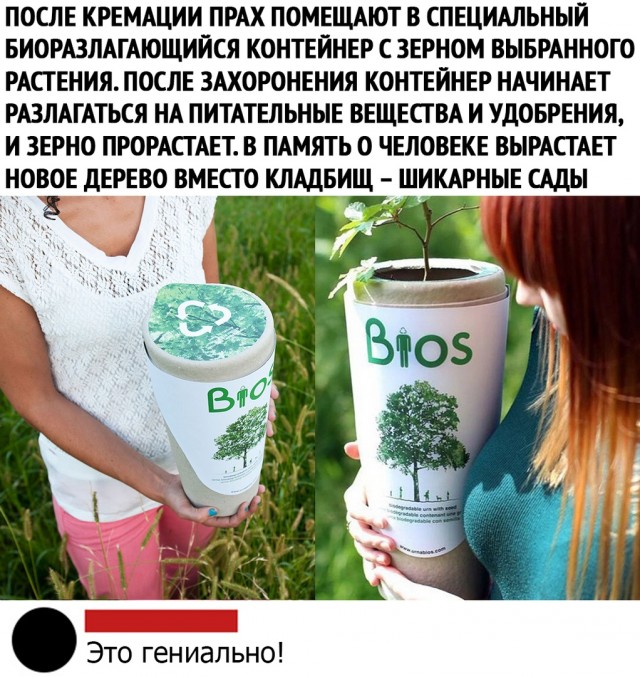 Чуток картинок. 12.01.2020