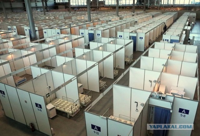 Пандемия. Коронавирус. Россия и мир. Последняя информация. Часть 14