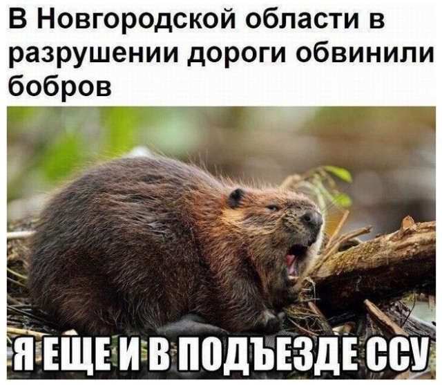 Откровение плохого папы