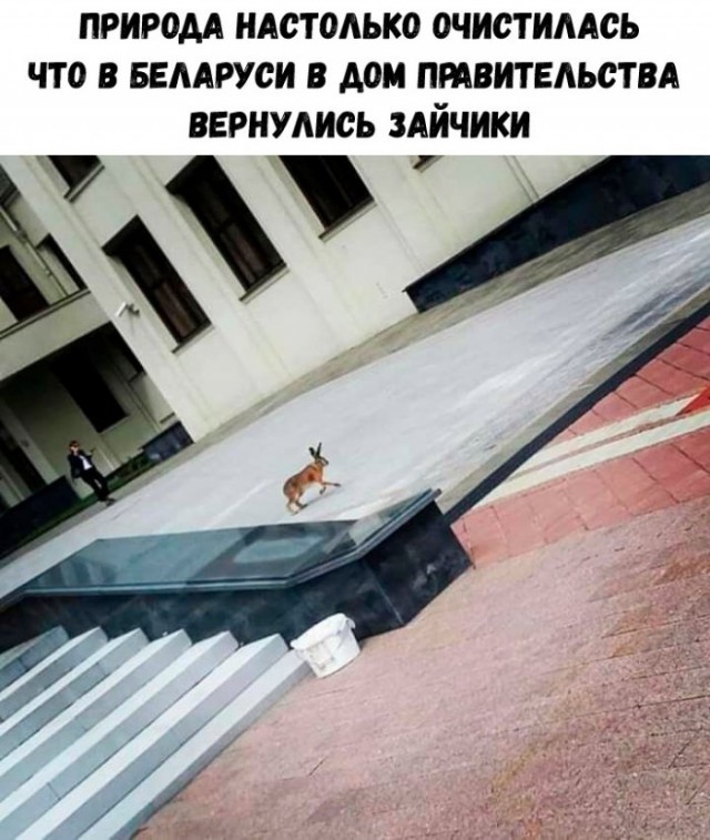 Немного картинок для настроения 18.05.20