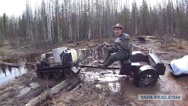 Хомяк