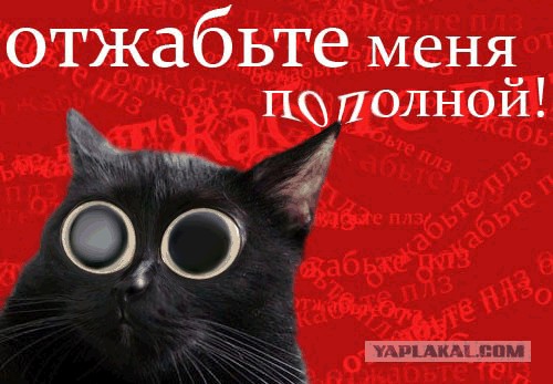Киса хочет жабы