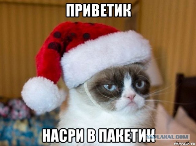 Мы спросили у мужчин, на что они обращают внимание в девушках (Девчонки, ура, живот можно не втягивать)