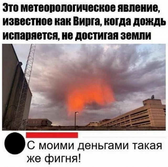 Картинки и мемы для настроения 015