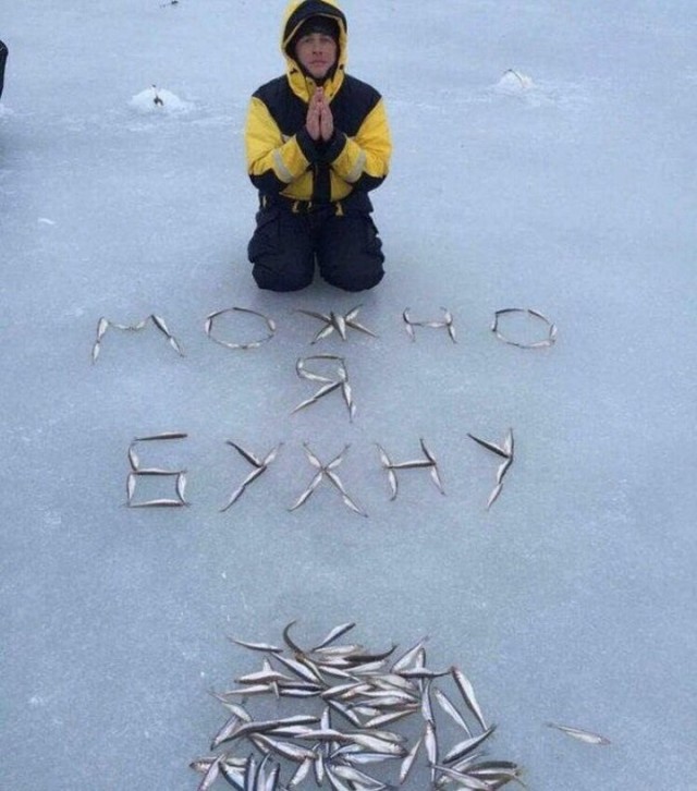 Чудики из социальных сетей 13.02.21