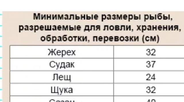 Правильное воспитание