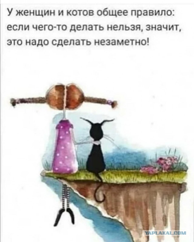Бредзона 21.02.21