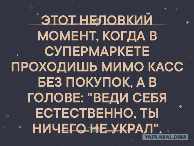 Весёлый полтишок 17.03