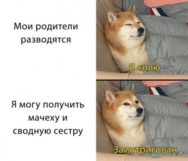 Весёлый полтишок 26.03