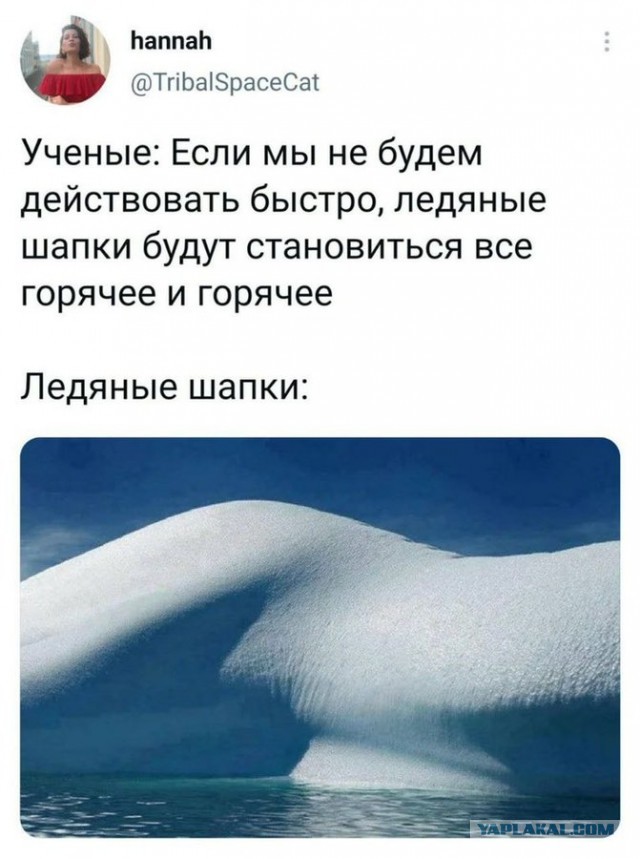 Весёлый полтишок 31.03