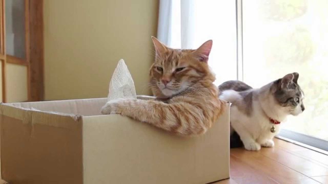 18 вещей с продуманным и удобным дизайном, который облегчает жизнь и радует глаз