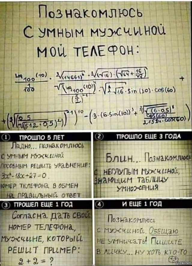 Скотсети и прочие интернеты 10.09.2021