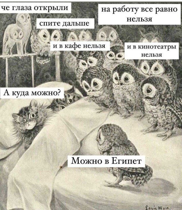 Картинки и мемы для настроения 02.11.2021