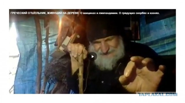 Зомби-апокалипсис 2022