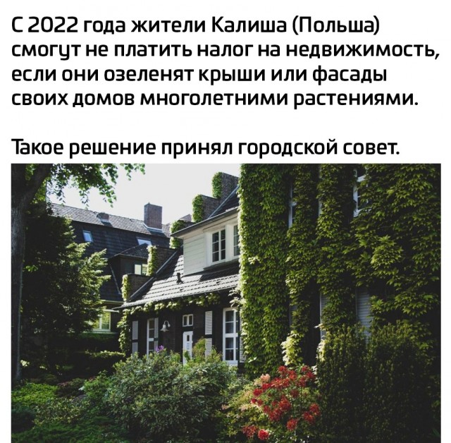 Так себе картинки 11.11.21
