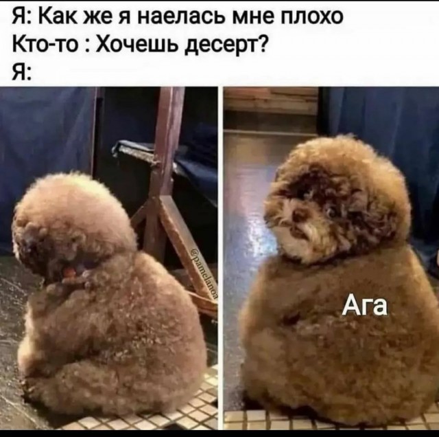 Только для тех, которые думают за себя, а не идут за толпой в комментах