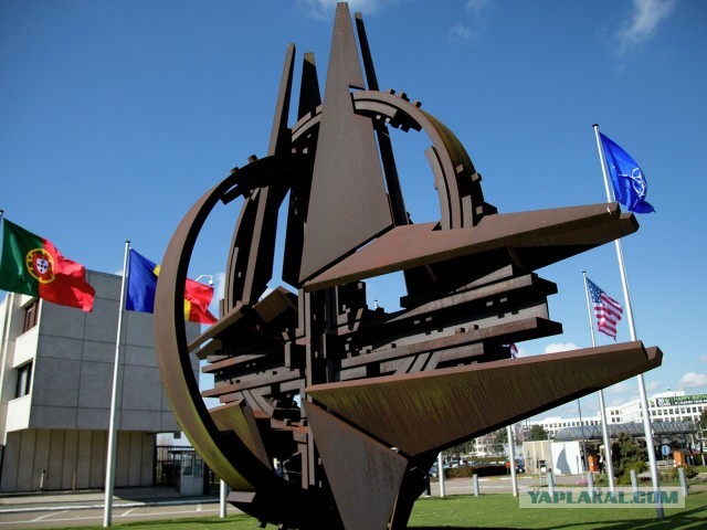 Инициатива о вступлении Финляндии в НАТО поступила в парламент