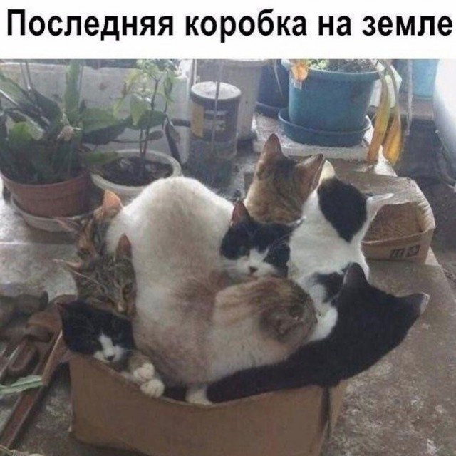 Так себе картинки 03.03.22
